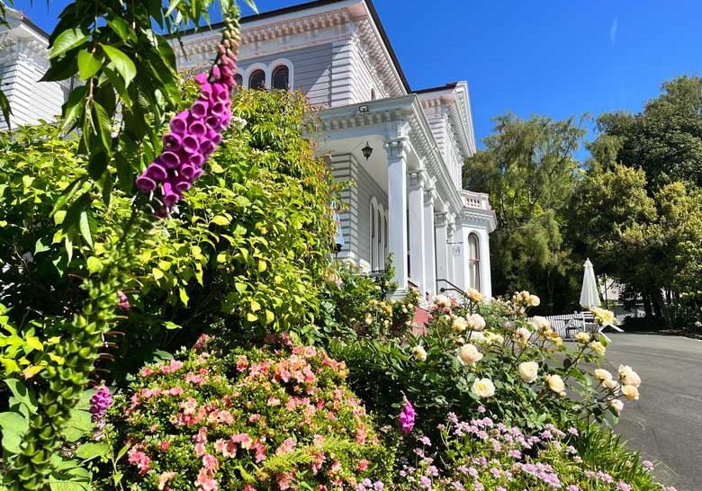 flowers in bloom at Melrose House in Nelson