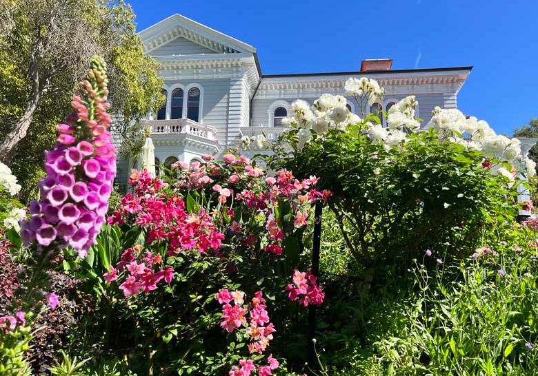 flowers in bloom at Melrose House in Nelson